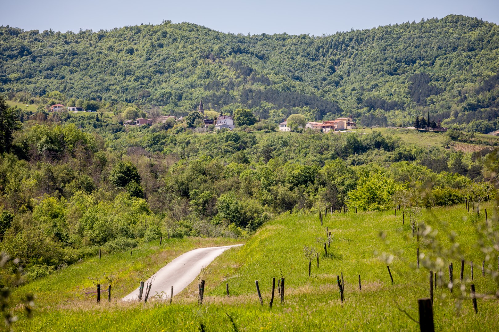TZ središnje Istre organizira besplatna vođena pješačenja u srcu Istre!